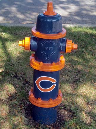 Da Bears - 1033 S. Rand (2)